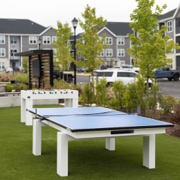 a ping pong table on grass
