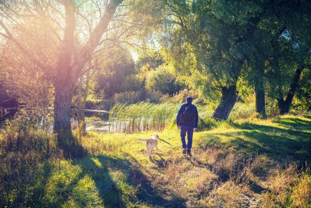 Alta Cosner Luxury Apartments with a man with Labrador Retriever dog walking near a river in open green space