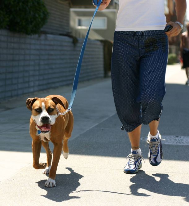 Alta Cosner Luxury Apartments with a dog jogging with his owner